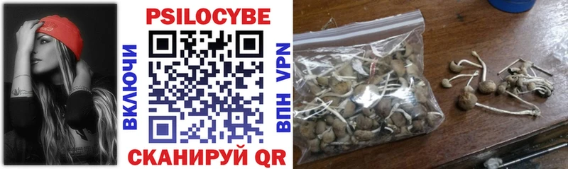 Галлюциногенные грибы мухоморы Купить закладки Кемерово